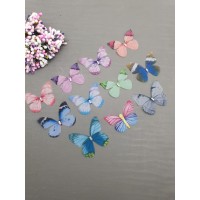 Бабочки (28)